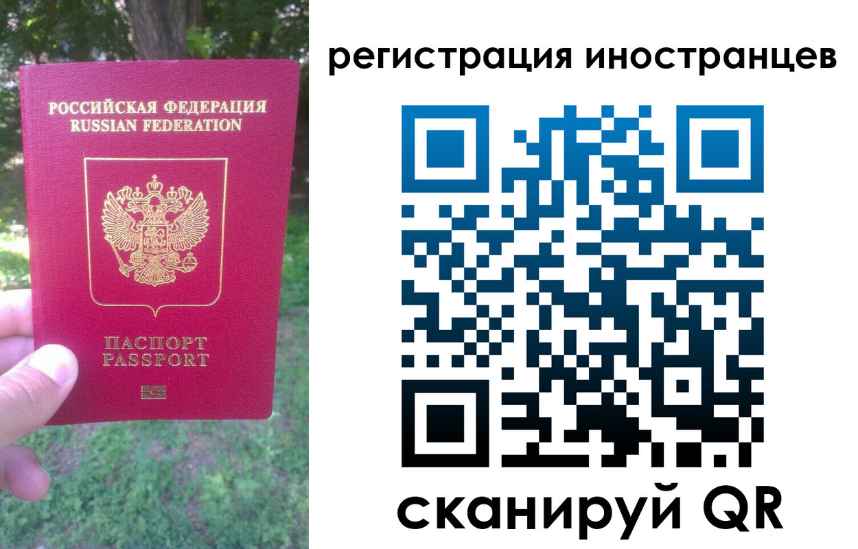 прописка в Ермолино
